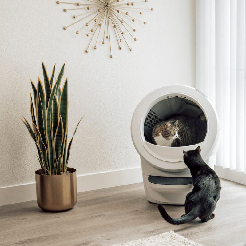 Litter-Robot 4 Automatic Litter Box (White) with 3-Year Warranty - Image 2